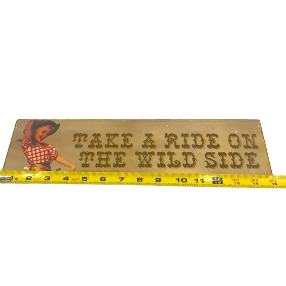 Vintage Style Metal Quote Sign Wall Decor ‘TAKE A RIDE ON THE WILD SIDE’ - Picture 3 of 4